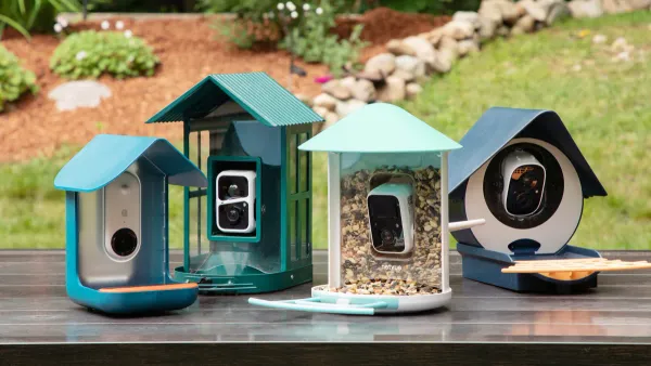 2025's Best Smart Bird Feeder Camera Tested: Redefine Your Backyard Birdwatching