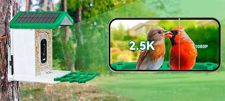 Happy Birdy Review Image 1