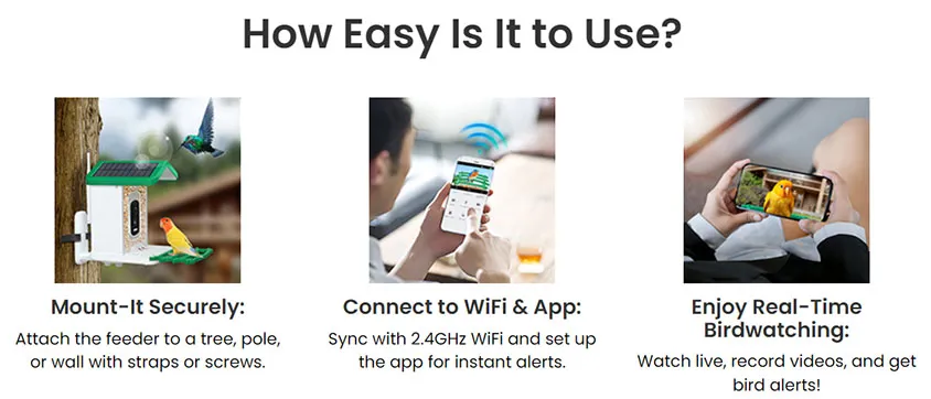 Happy Birdy Review Image 2